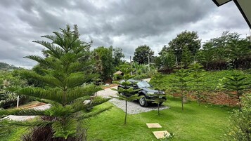 Un jardin luxuriant où une voiture est garée sur un chemin de gravier, entouré de différentes plantes et arbres verts.