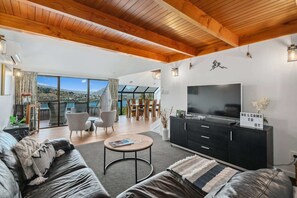 TV, fireplace, offices