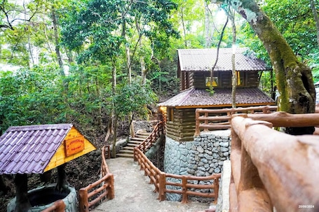Property grounds. Vacation House in Baguio