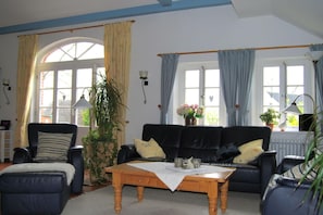 Fernseher, Kamin