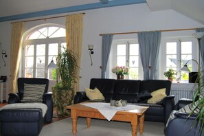 Fernseher, Kamin