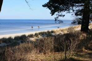 Am Strand