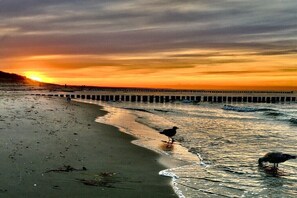 Am Strand