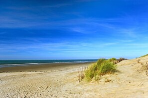 Una playa cerca