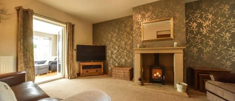 Smart TV, fireplace, books