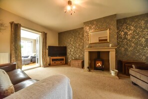 Smart TV, chimenea y libros