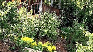 A wooden cabin with a porch, surrounded by lush greenery and mountains in the background. - Hergül Holiday Village (Gazipasa)