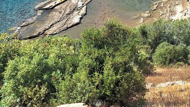 A coastal landscape with rocky formations, clear blue water, and distant mountains. - Hergül Holiday Village (Gazipasa)