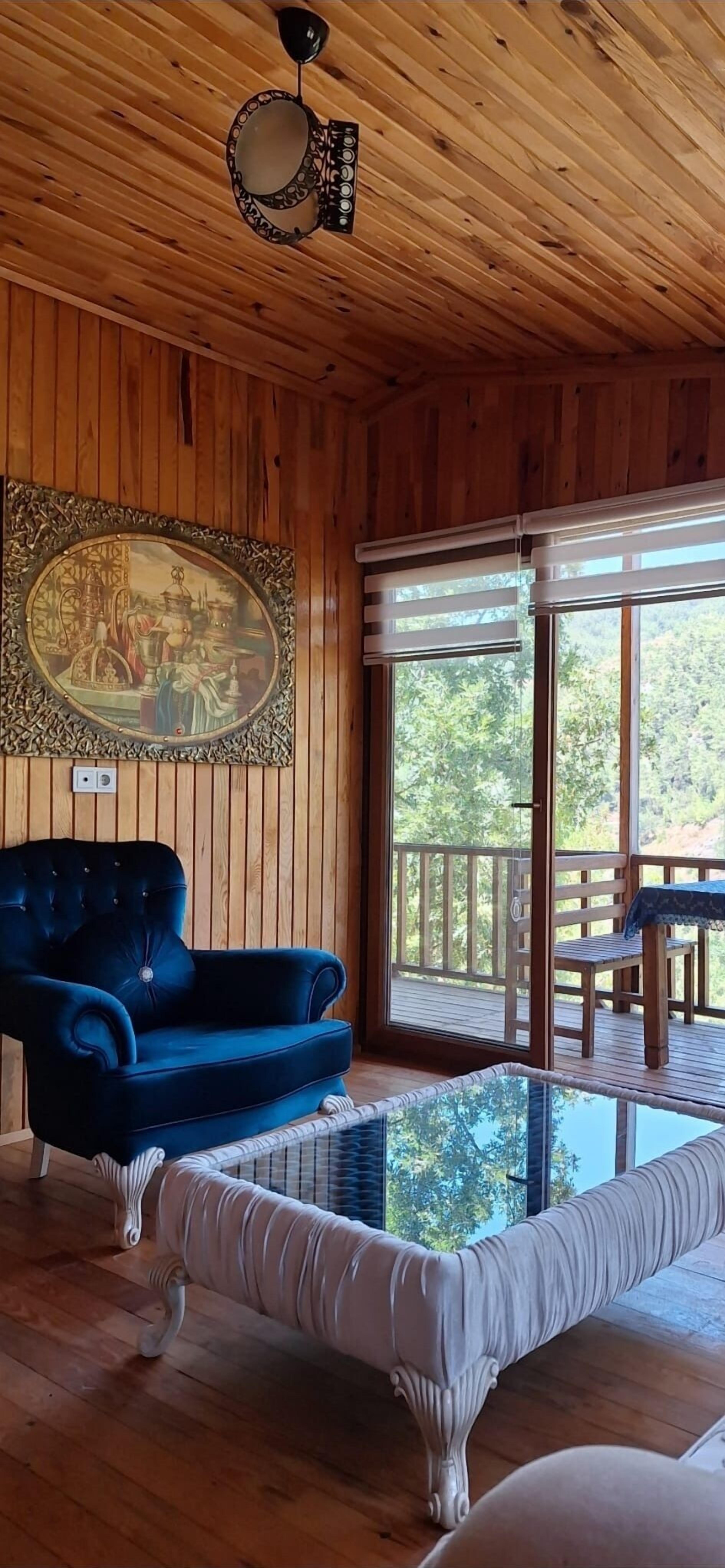 Stuga - utsikt mot bergen | Vardagsrum