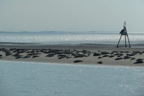 In Strandnähe