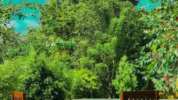 Two wooden chairs and a small round table with two glasses of yellow beverage by a swimming pool surrounded by lush greenery. - NATURALIZA (Dambulla)