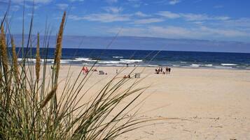 Playa en los alrededores