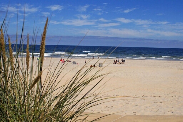 Una playa cerca