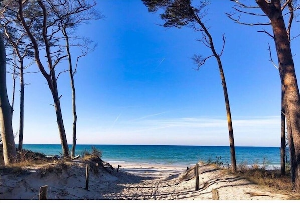 In Strandnähe