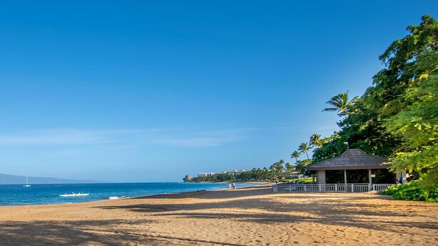 Una playa con un pabellón, palmeras y una vista despejada del océano.