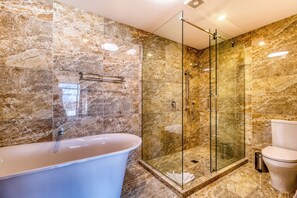 Shower, towels, toilet paper