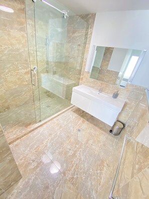 Shower, towels, toilet paper