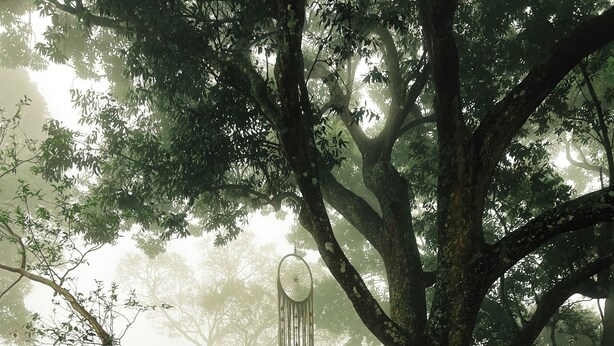 A person sitting on a bench under a tree in a foggy park. - Tentgram Plantation Hostel Suryanelli  (Devikolam)