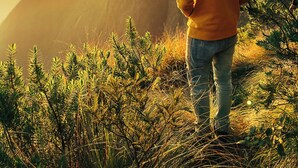 A person standing on a grassy hill overlooking a mountain range during sunset. - Tentgram Plantation Hostel Suryanelli  (Devikolam)