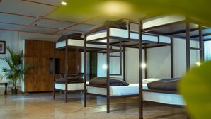 A dormitory-style room with bunk beds, a wooden cabinet, and a potted plant. - Tentgram Plantation Hostel Suryanelli  (Devikolam)