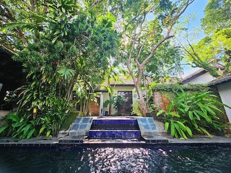 Outdoor pool. Havelock Place Bungalow