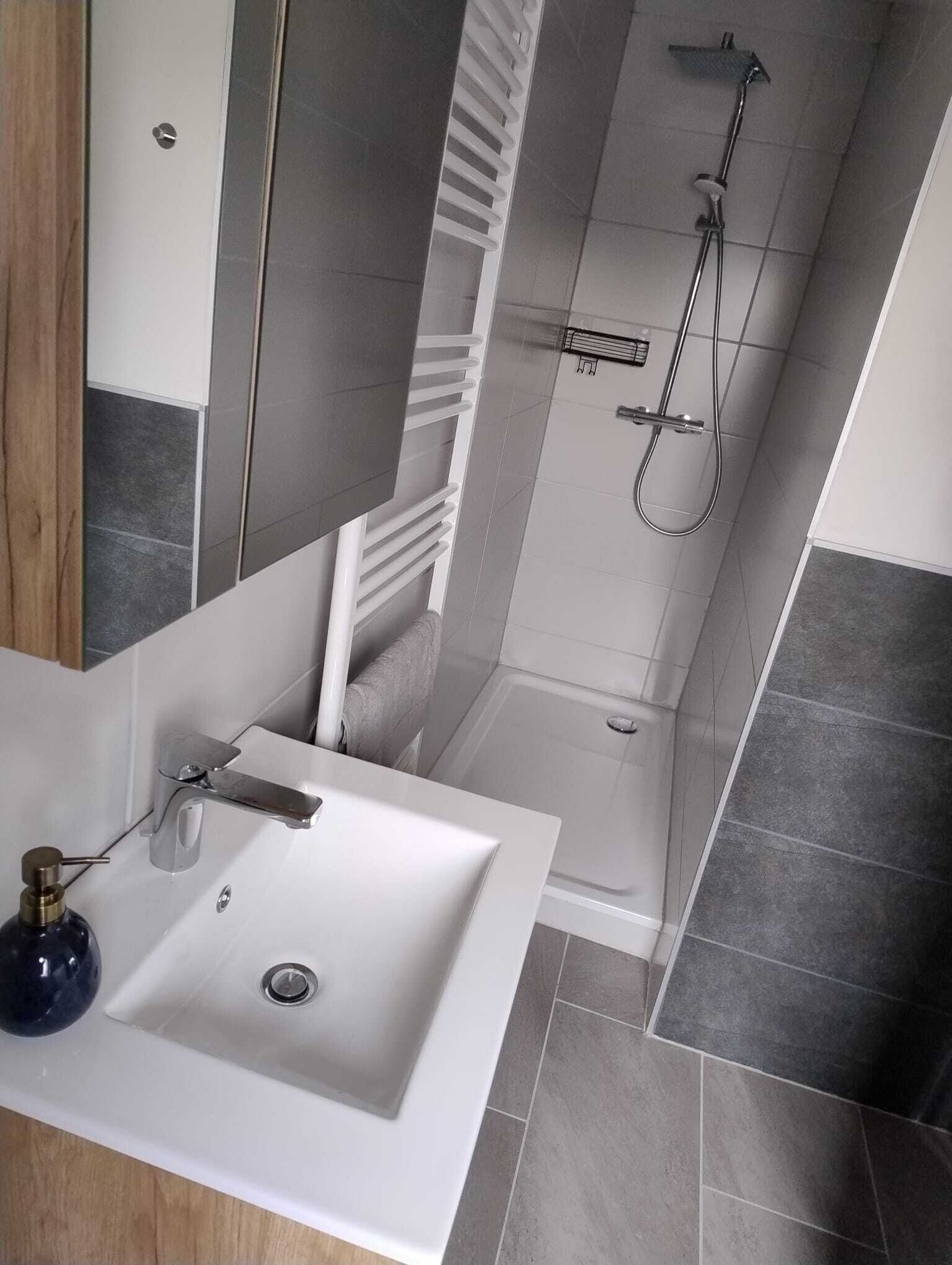 Dusche, Haartrockner, Toilettenpapier