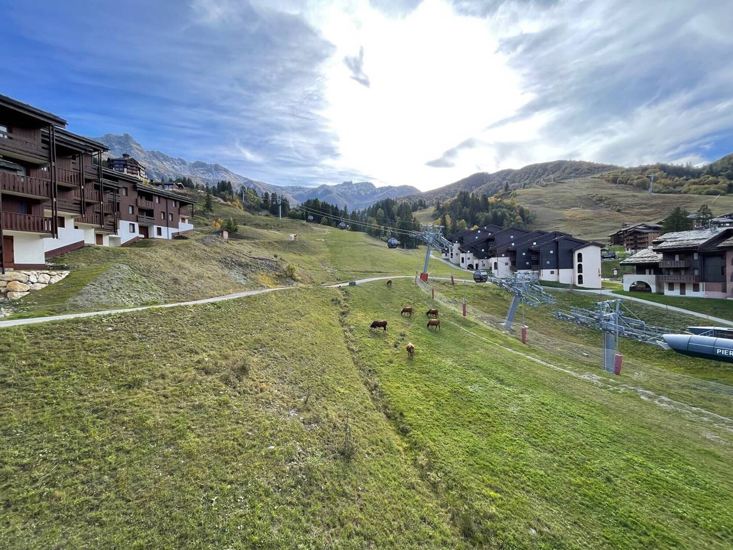 A mountainous area with a ski lift, buildings, and grazing cows.