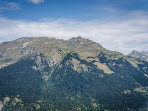 Een berglandschap met dicht bos en rotsachtige toppen.