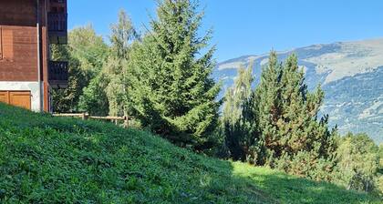 Charming 1BR apartment with terrace, near slopes, free parking