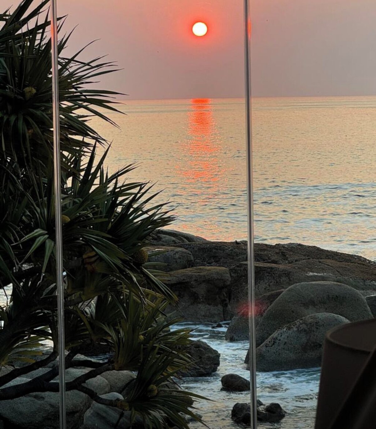 Imagen de perfil del propietario o de la propietaria