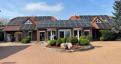 Modern House Gehrden contactless garden