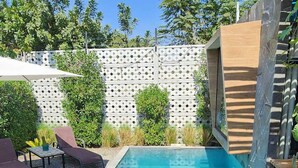 En swimmingpool med ett vitt spaljerstaket, solstolar och en krukväxt.