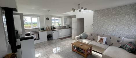 House | Living area | Fireplace