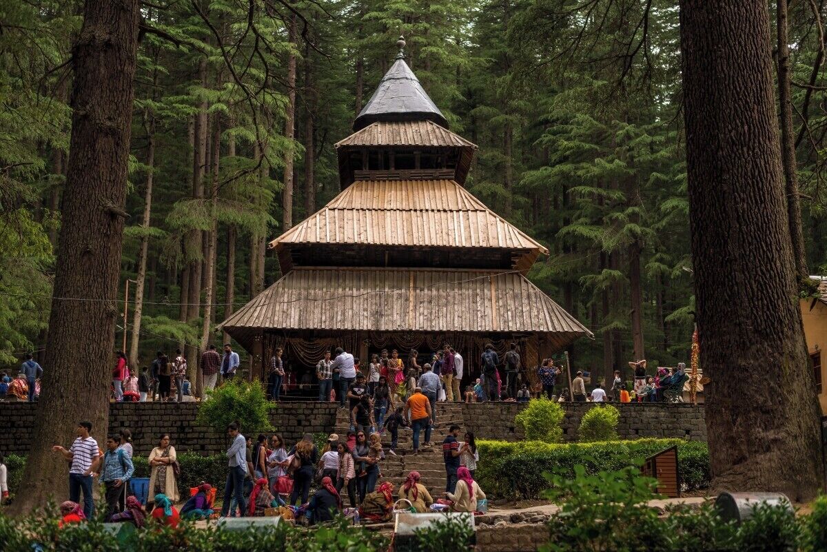A wooden structure with a conical roof surrounded by a forest.