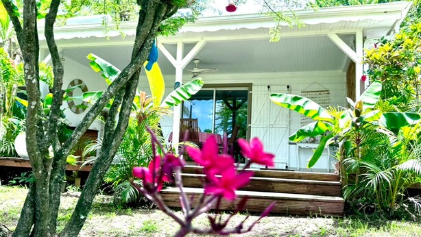 Una casa con porche, rodeada de plantas y árboles tropicales.