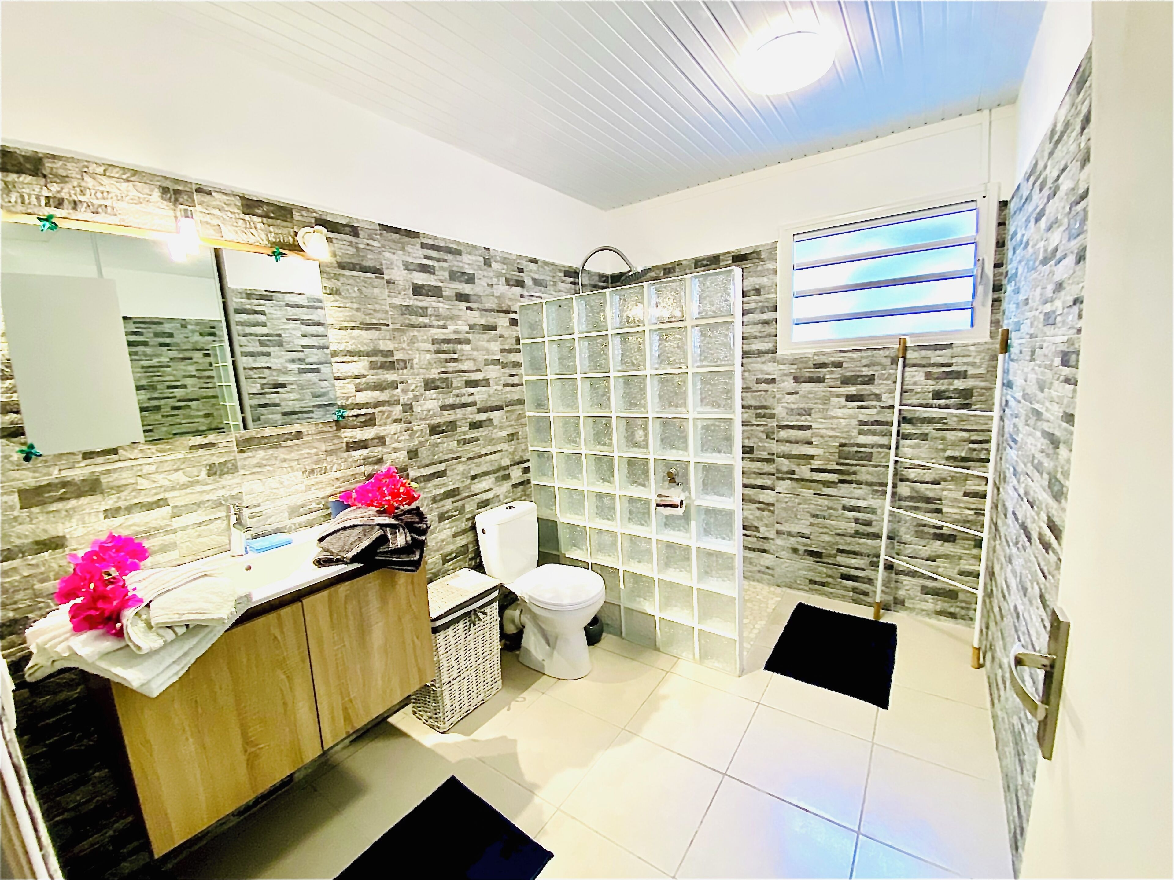 Shower, hair dryer, towels, toilet paper