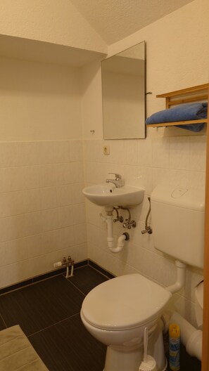 Dusche, Handtücher, Toilettenpapier