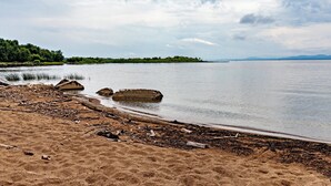 Une plage de sable avec des rochers et du bois flotté.