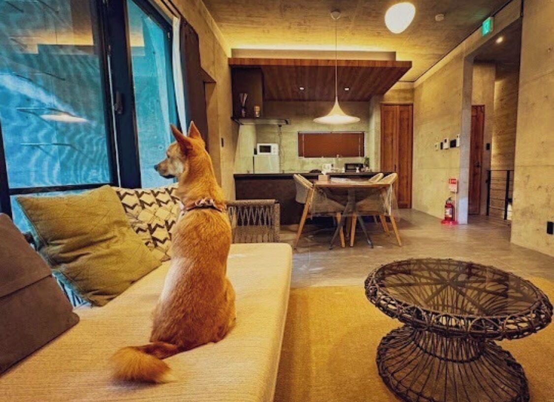 3 bedrooms, blackout curtains, iron/ironing board, free WiFi