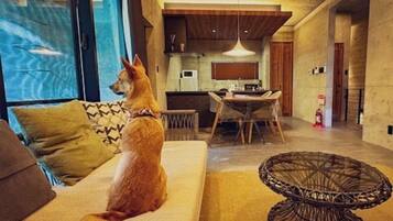 3 bedrooms, blackout curtains, iron/ironing board, free WiFi