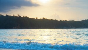 A beach with waves and a forested hill in the background. - RYUKYU BREEZE (Nago)