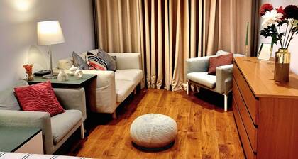 spacious 4 Bedrooms house in Central London