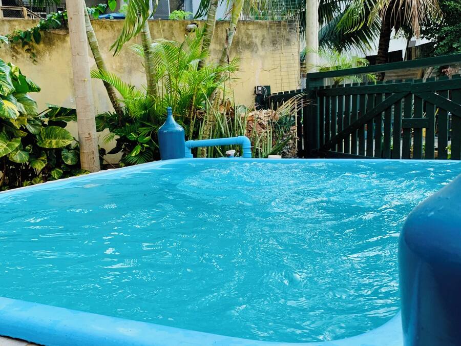 Ein Swimmingpool mit blauer Umrandung, umgeben von Palmen und einer gefliesten Terrasse.