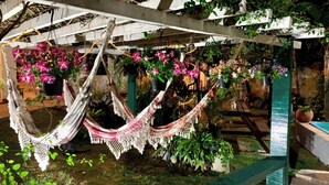 Un espace aménagé avec des hamacs, des plantes suspendues et une piscine.