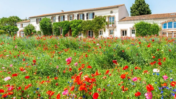 Un edificio blanco con tejado de baldosas, rodeado por un campo de flores rojas y azules.