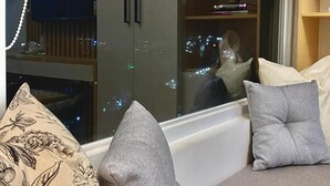 Una habitació acollidora amb un gran finestral, un sofà amb coixins i una prestatgeria.