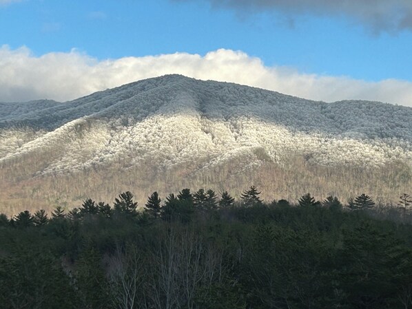 A mountain with a forest at its base.