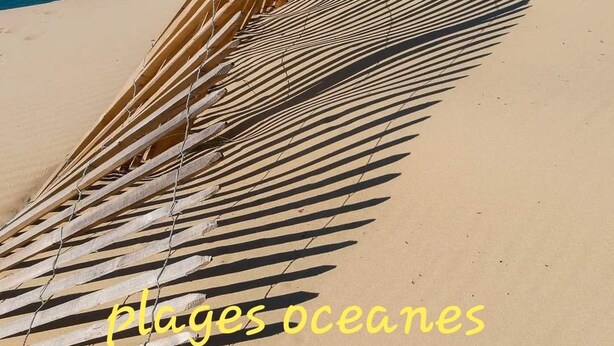 A sandy beach with a wooden fence and the text 'plages océaines'.