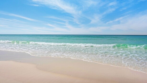 Une plage avec un ciel dégagé et des vagues calmes.