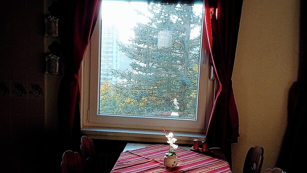 A table with a vase and a striped tablecloth, a window with curtains, and a view of trees and buildings.